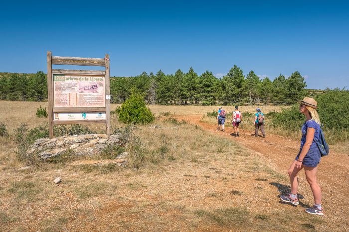 Les arbres de la liberté sur le Larzac