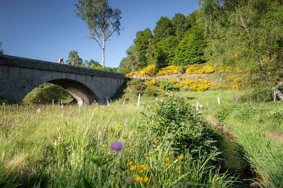 Le pont sur la Rimeize