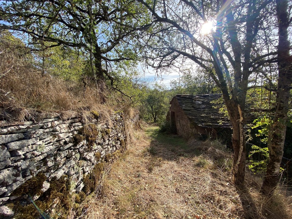 cabane de vigne