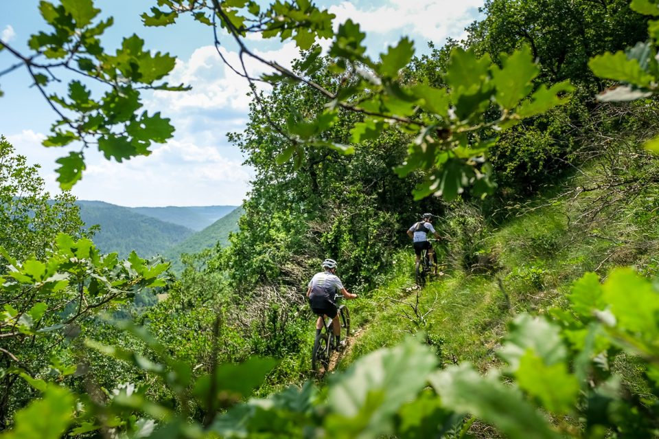 VTT N°14 - Au grand air