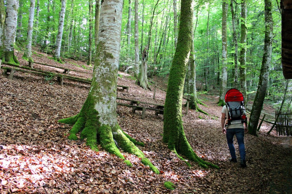 A l'ombre de la forêt, dans le théâtre de verdure