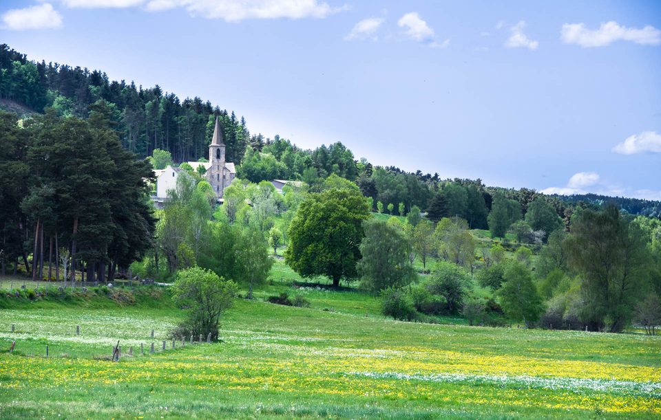 La Forêt de la Tourre - Parcours n°1