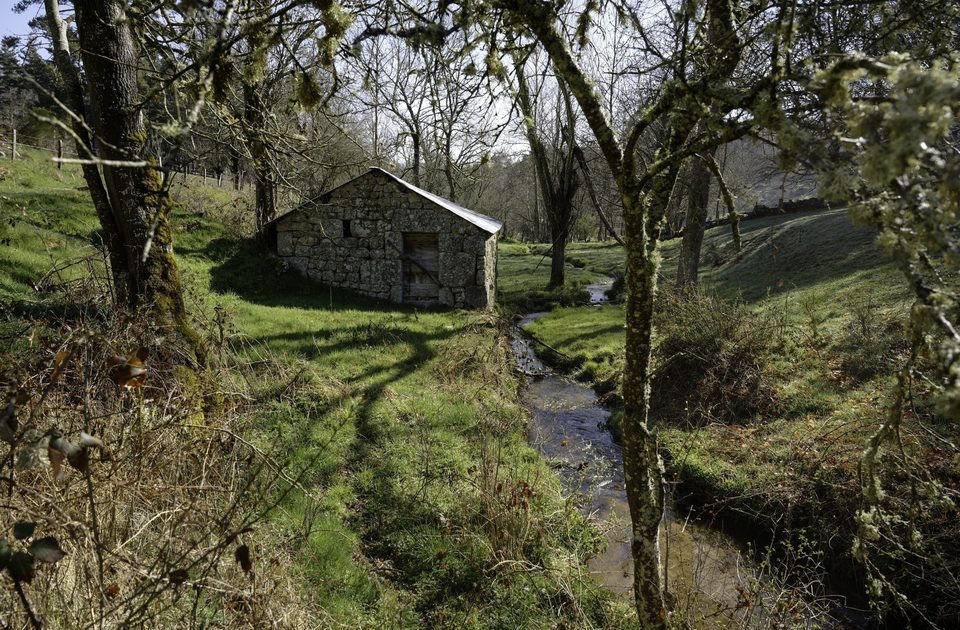 Les moulins de Vareilles