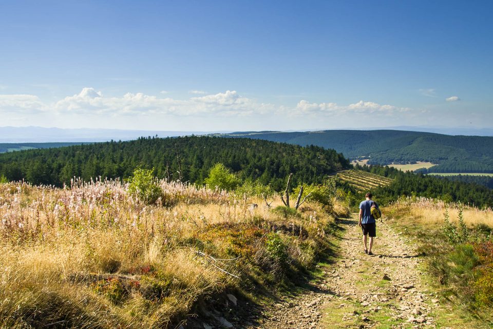 Le Mont Mouchet
