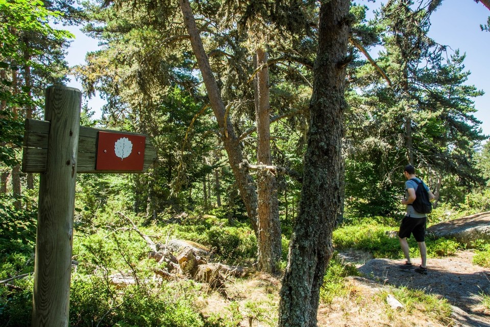Les Tourbières de Lajo - Parcours n°22