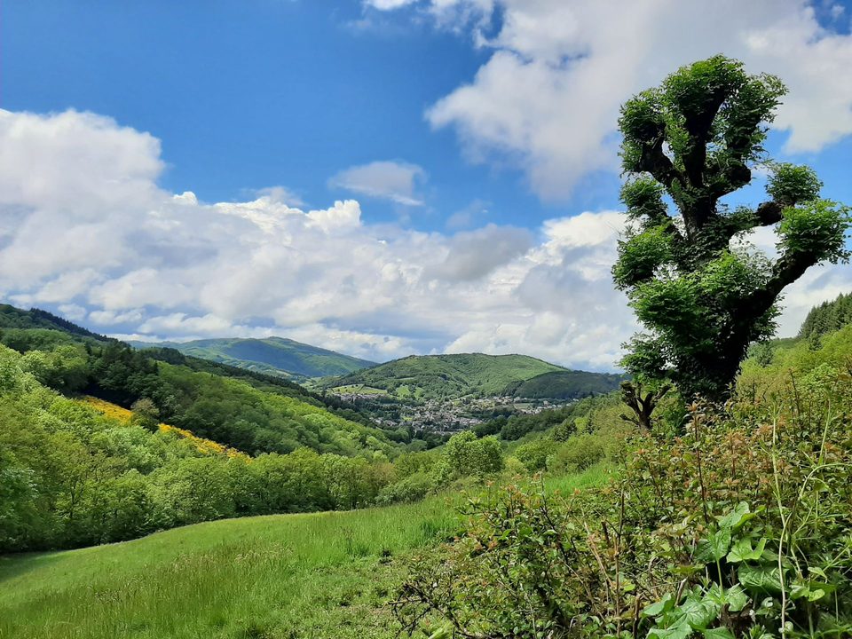 Randonnée Les Vaysseries