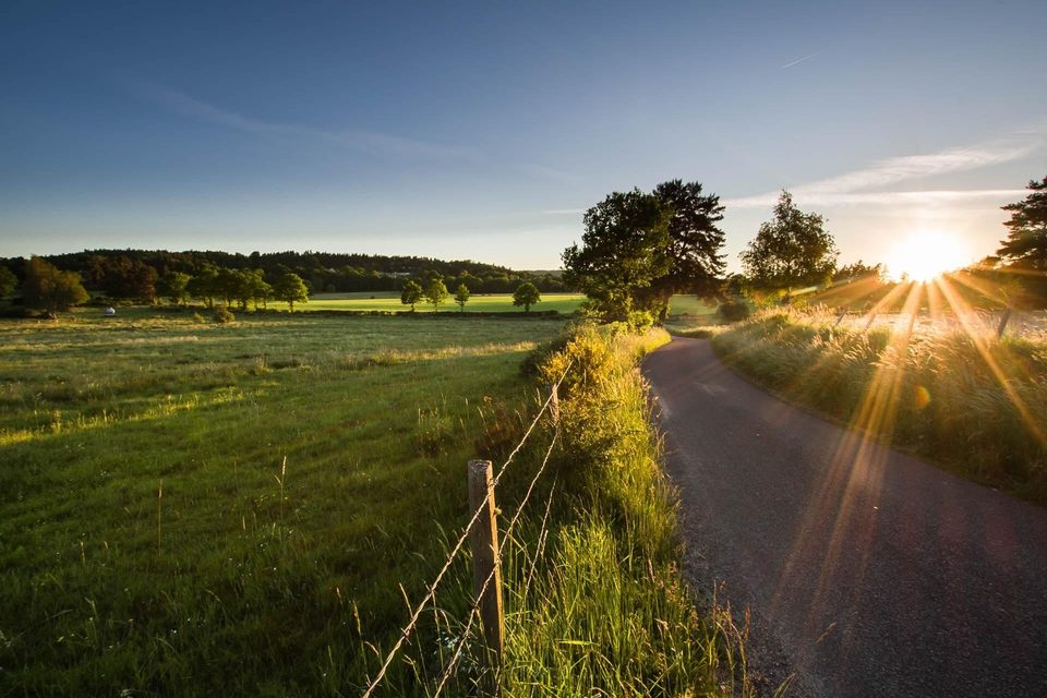 La route de la pierre plantée