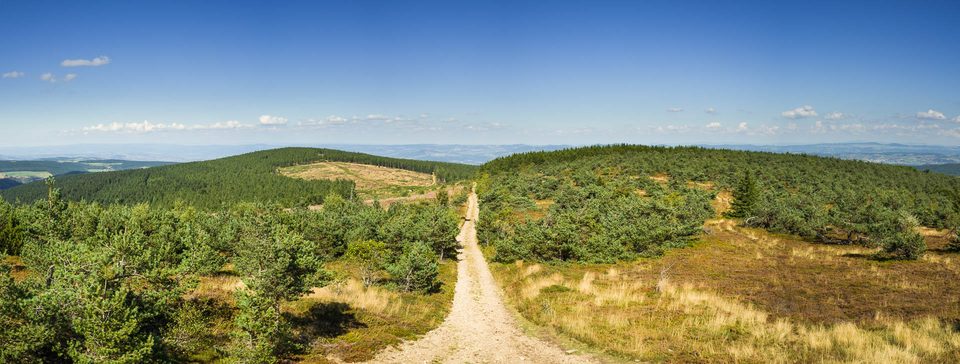 Le Mont Mouchet - VTT n°17