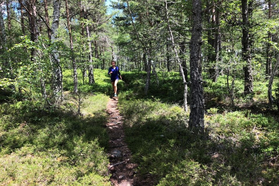 Coureuse en forêt