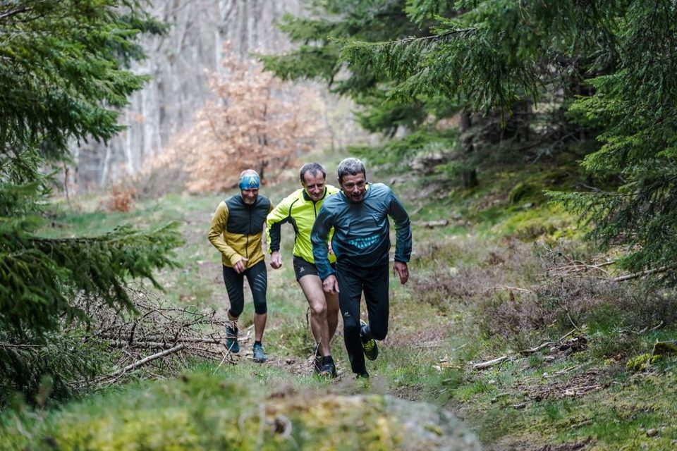 Traileurs dans une montée en forêt
