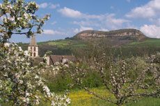 Le Truc de St bonnet