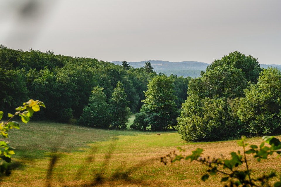 Entre causse et bois