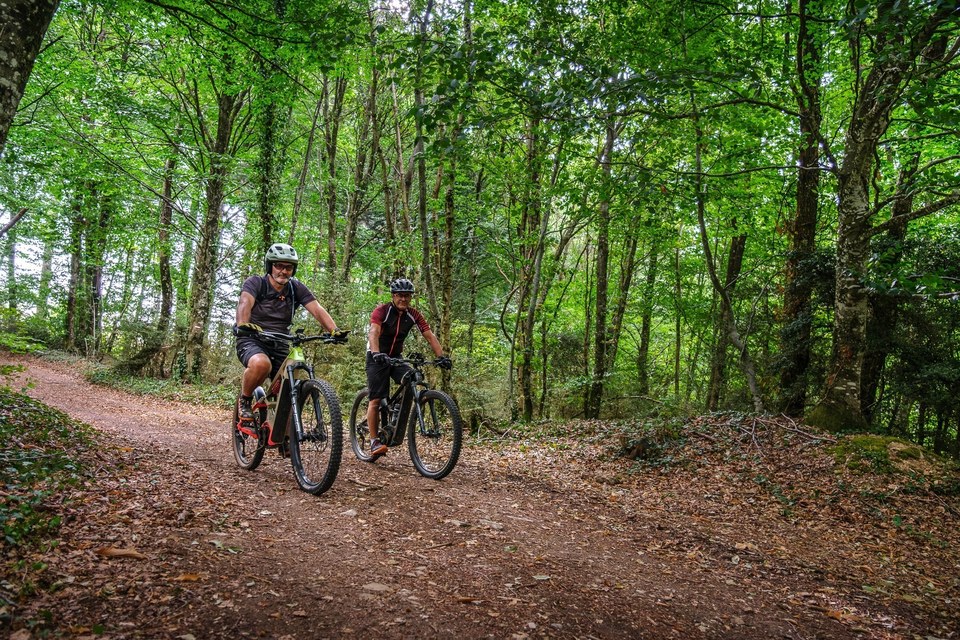 Dans le bois de Caron