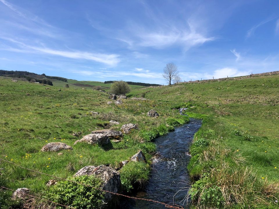 De Nasbinals à Saint-Urcize- Trail n°45