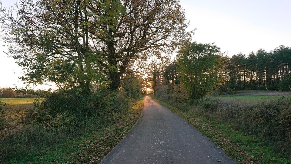 La mare du bois