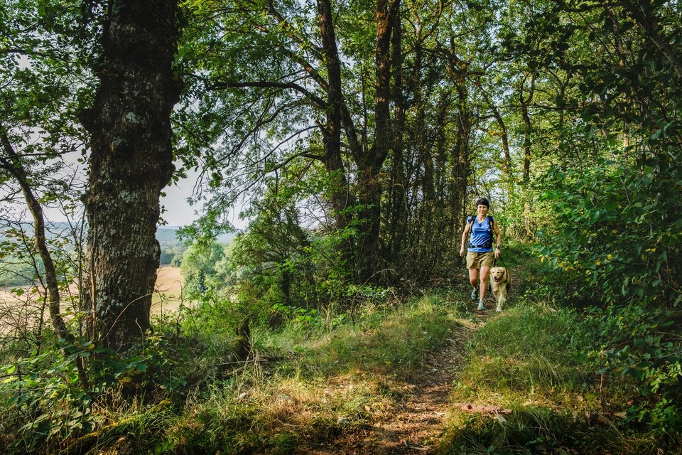 Sur le sentier