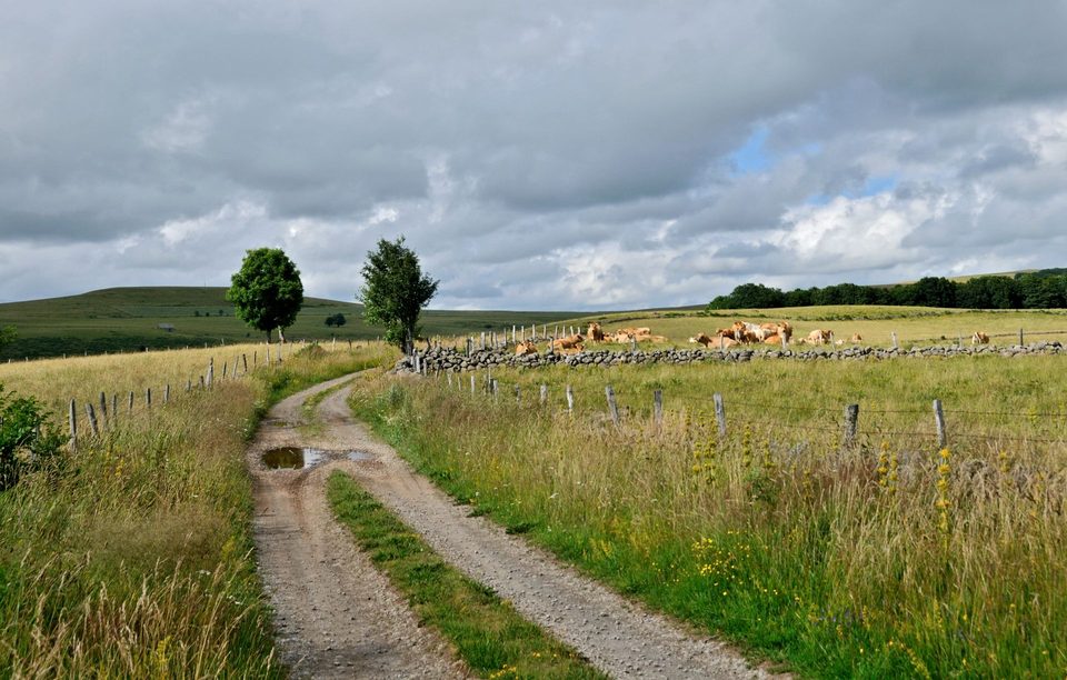 282 - VTT Bouyssou
