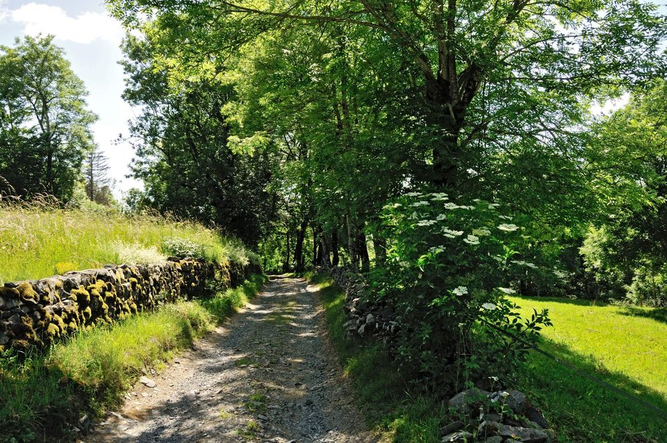 Les chemins à l'ombre