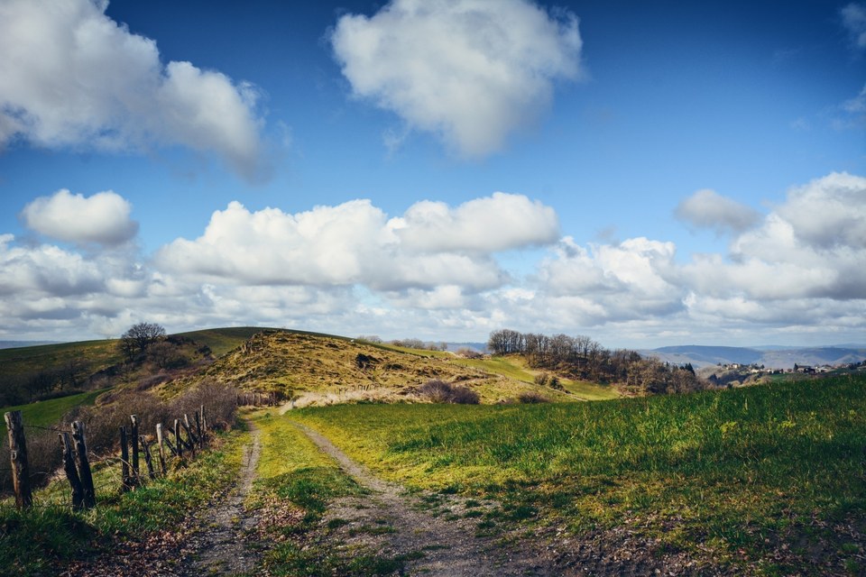 Sur les hauteurs du Puy de Wolf