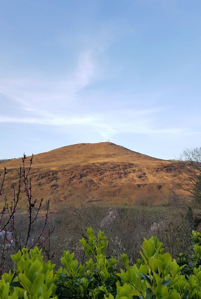 Puy de Wolf-Firmi