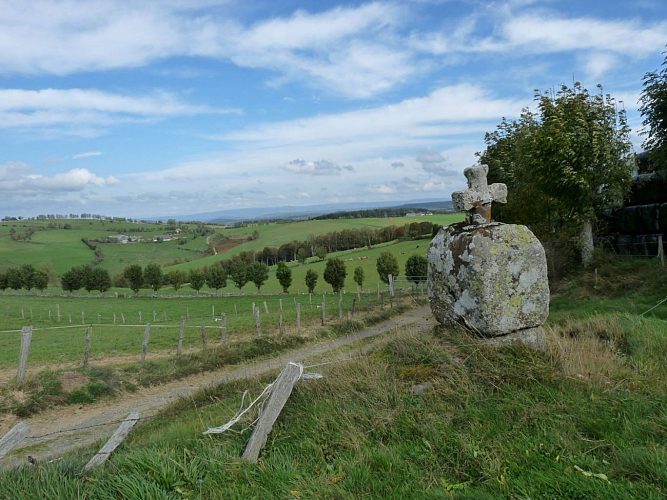 Le Bois de Vedrines