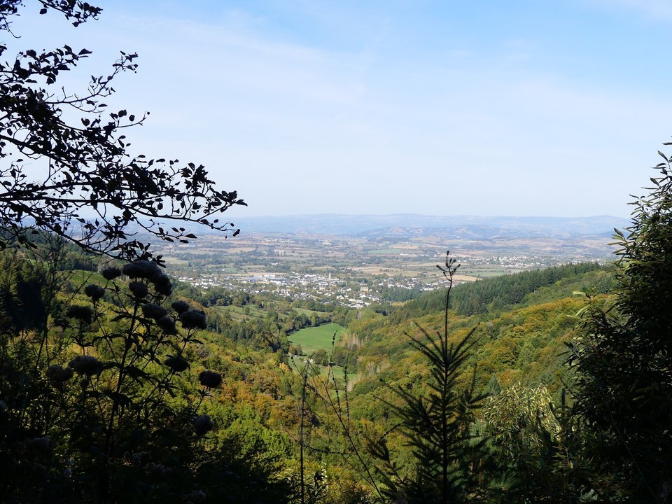 La forêt des Palanges