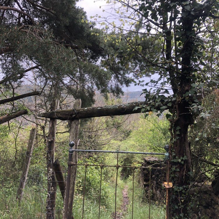 Portillon sur le parcours