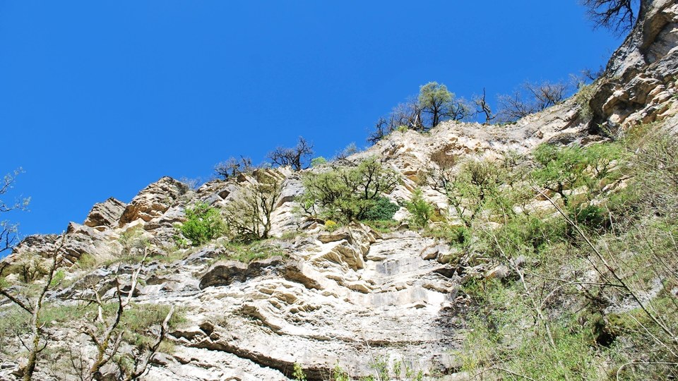 Les falaises du Canyon de Bozouls