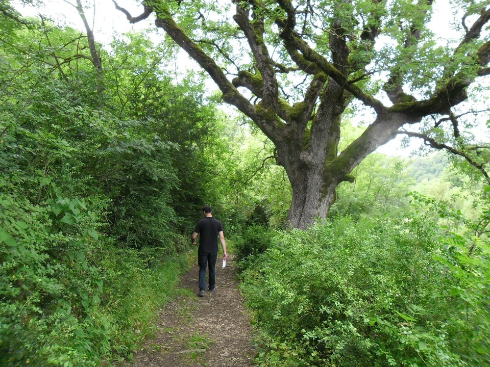 Sur le chemin...
