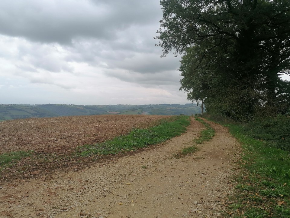 Le chemin des deux tilleuls