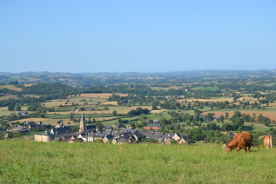 Le chemin de la Bouyssiere