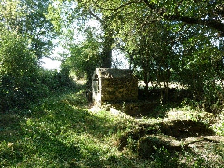 Le chemin de la fontaine
