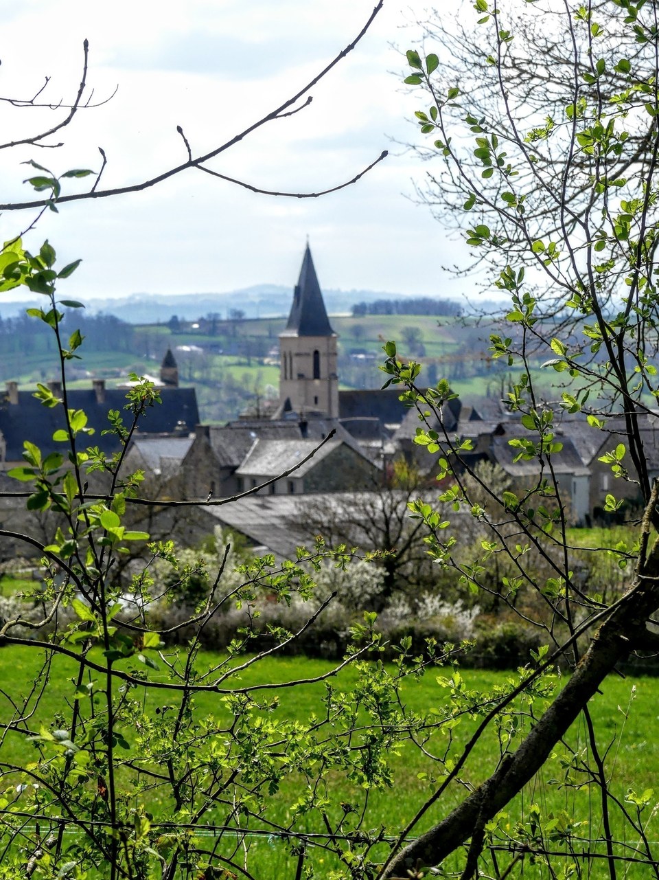 Le chemin des dames