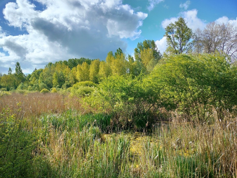 Marais de Montaris - ENS