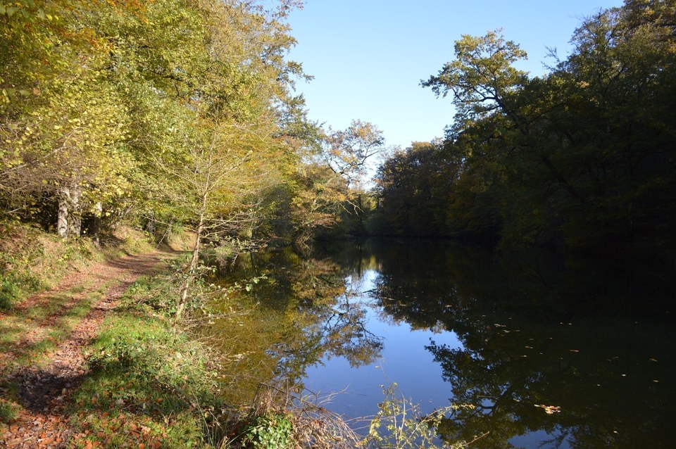Boucle A des Etangs du Ségala: Etangs de Roussennac et Bournazel