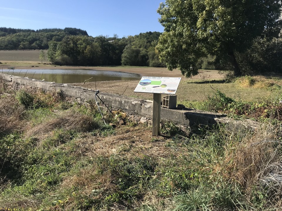 Boucle B des étangs du Ségala: Etangs de Privezac et d'Anglarès