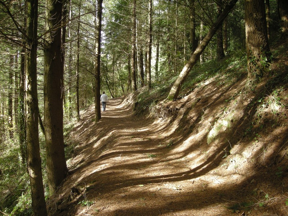 tour du lac parcours sportif