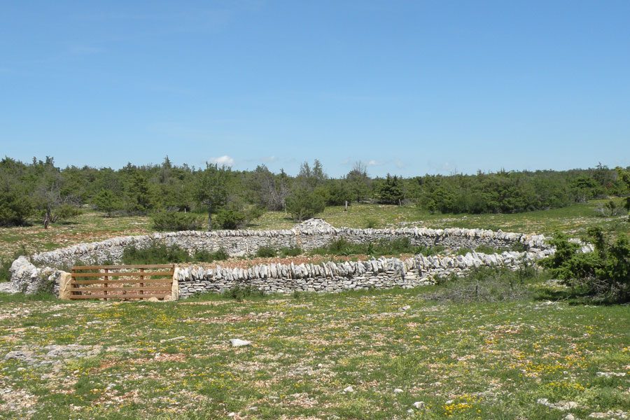 Réserve de chasse du Causse Comtal - ENS