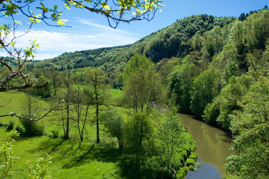 Bois de Linars - Sentier ENS