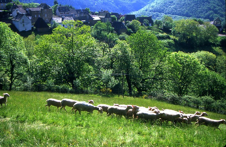 204 - Sentier des 2 vallées 3