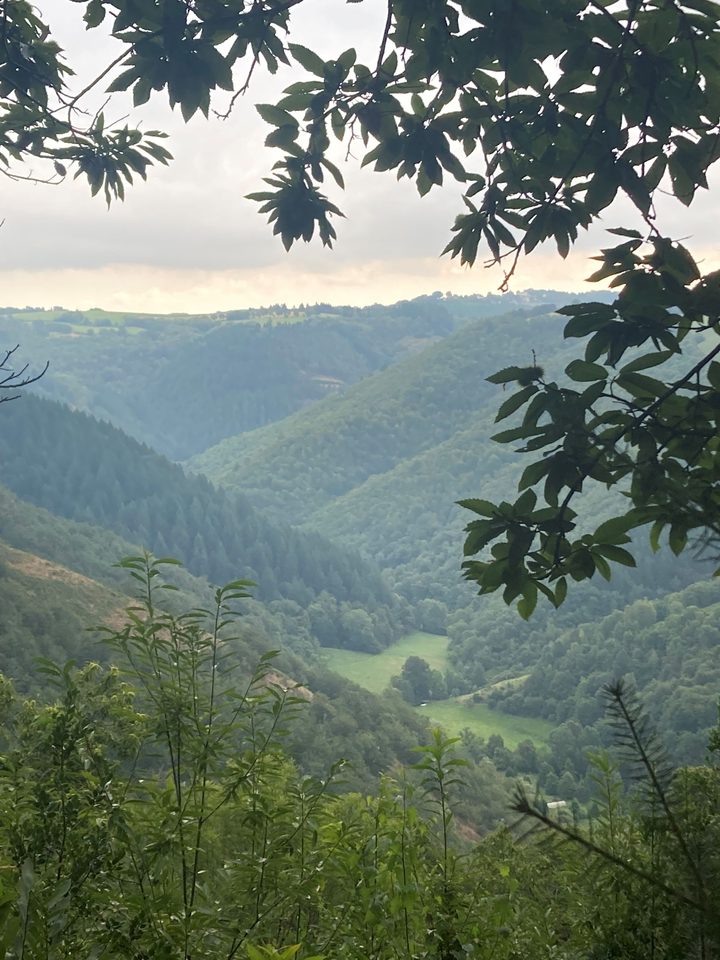 Le pays vert du Carladez