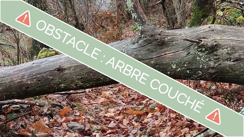 ATTENTION OBSTACLE