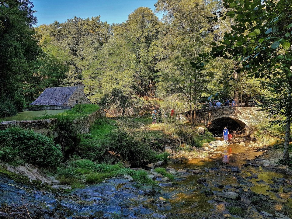 Cabanes et les Martinets du Lézert (SP 4)