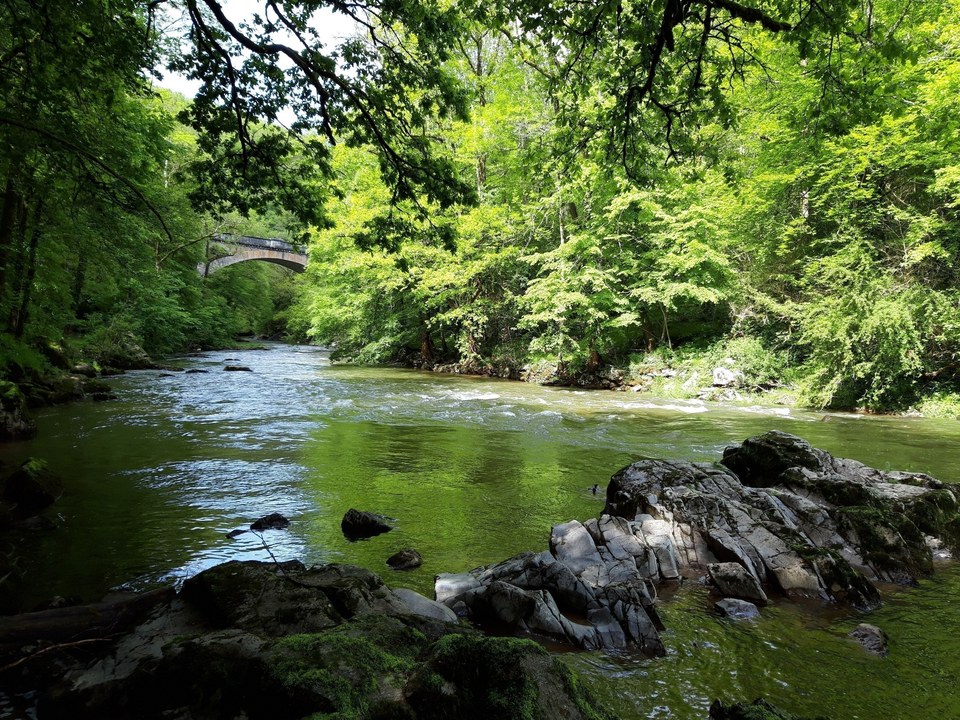 L'Aveyron et le pont de Vézis