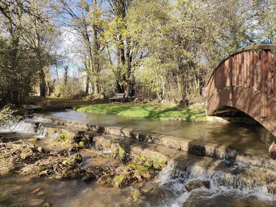 Le ruisseau de la Serre