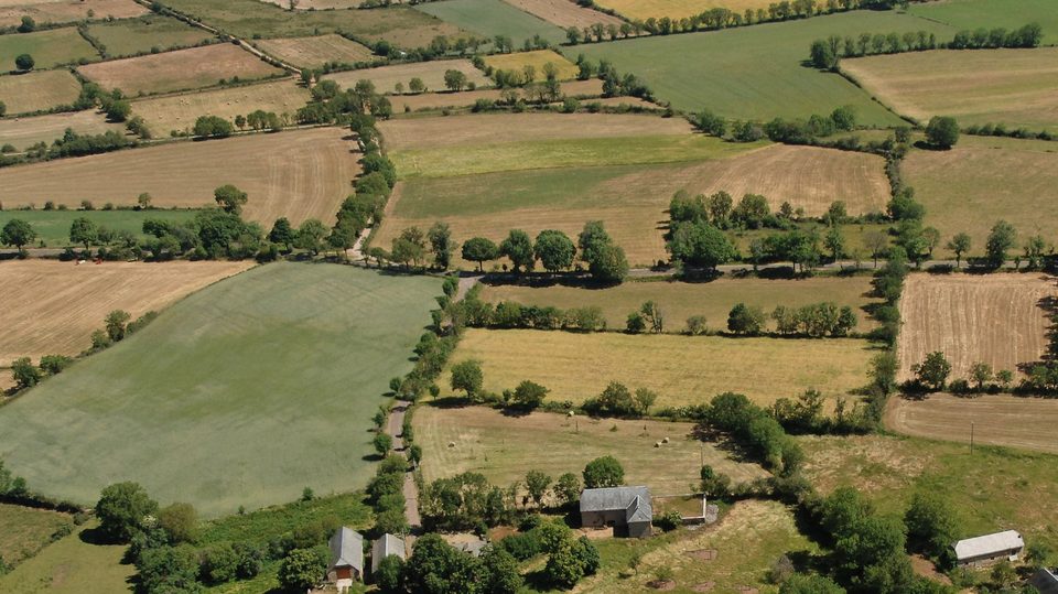 Sur les traces de Denys Puech