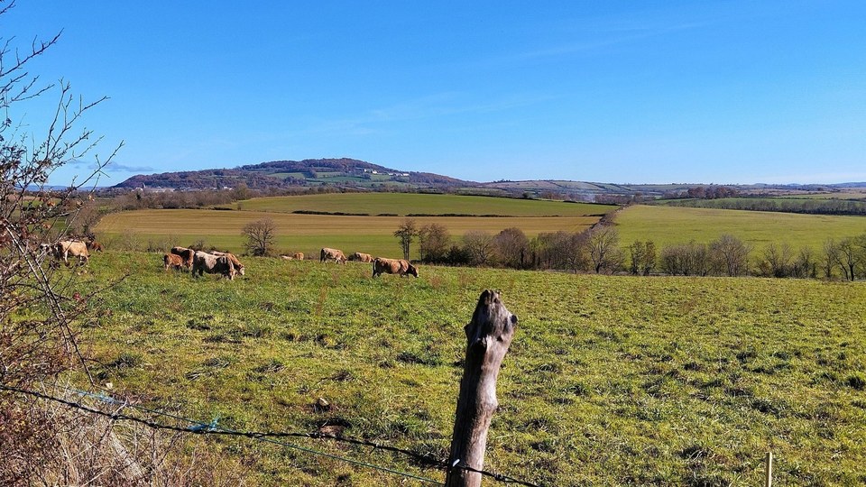 Point de vue sur les pentes du Puech d'Aubignac