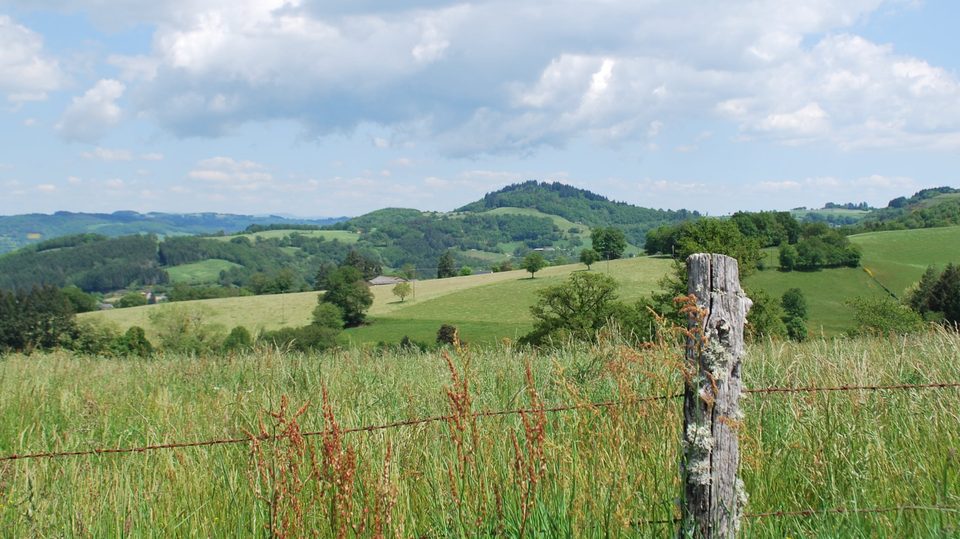 Sur les hauteurs d'Espeyrac