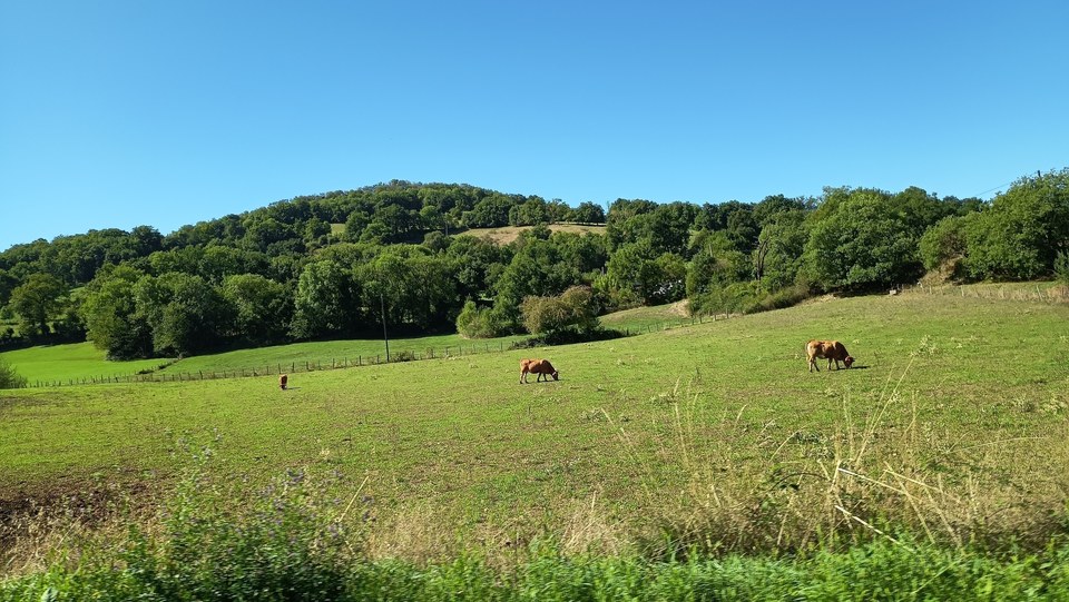 Le puech du Jou