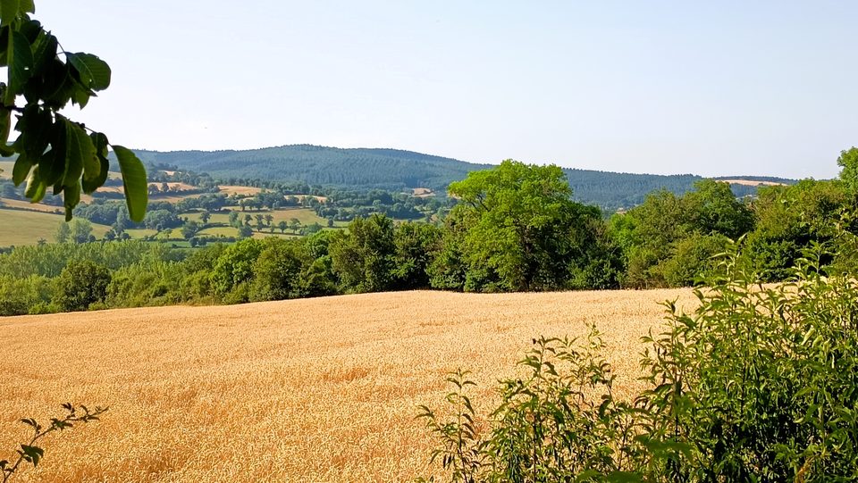 Gages : entre causse et vallée